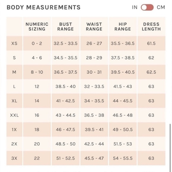 NWT Birdy Grey Jane Convertible Dress in Chiffon Pale Blush - Picture 8 of 8